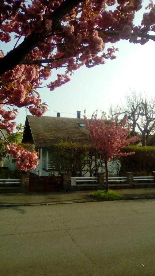 Вилла Chalet Montsegur Кольмар Экстерьер фото